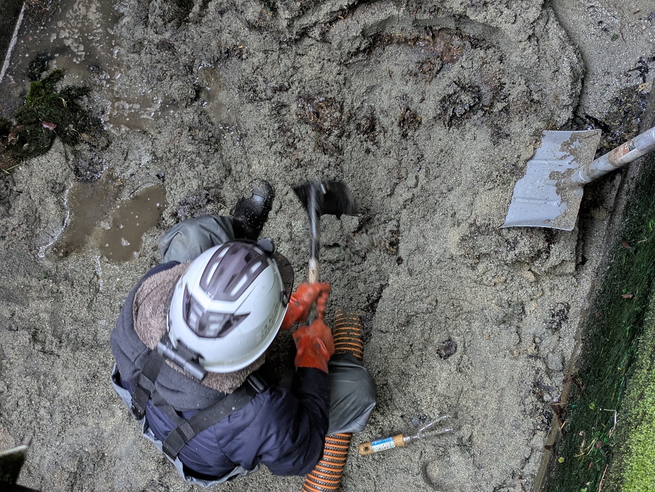 PXL_20260308_220751861