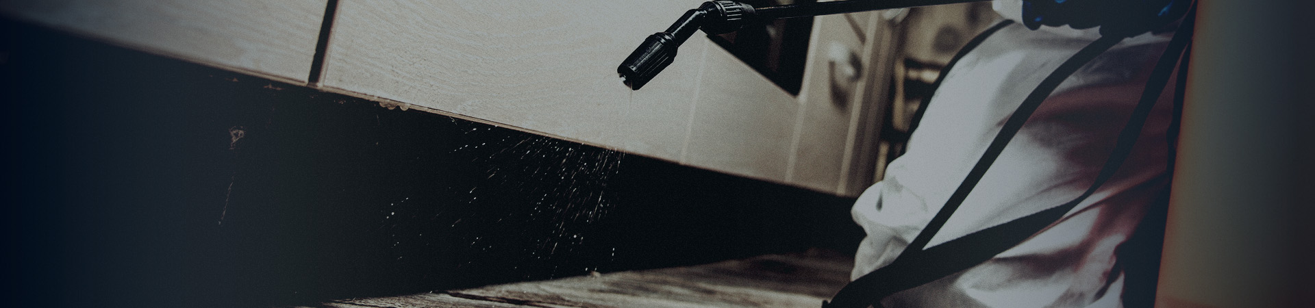 環境衛生維持管理に関する業務 Environmental Hygiene